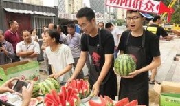 今日吃瓜-热心的朝阳群众吃瓜,揭秘今日热点事件